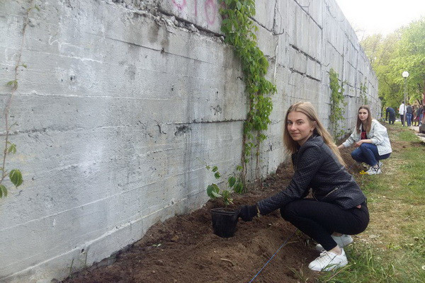 photo_2019-05-10_16-55-11