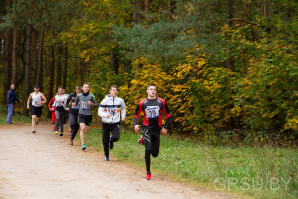 IMG_20191005_194612_111