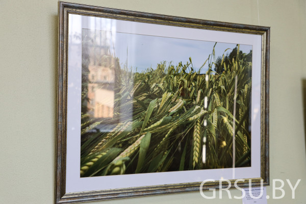 IMG_20220222_181052_621