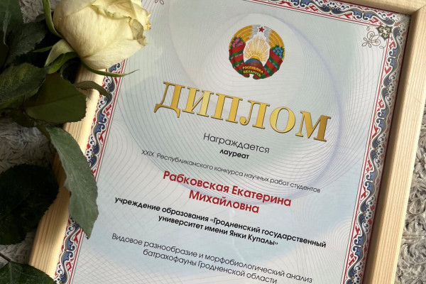 photo_5235777932729896311_y