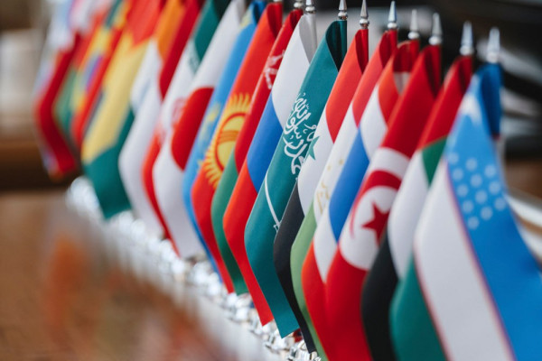 photo_5246990979943222481_y