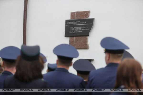 photo_5451887235227048699_x