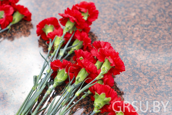 photo_5253836290229661365_y