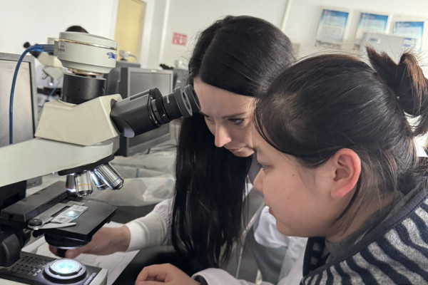 IMG-c24b02a75283abec3f2adc869b4e9c34-V