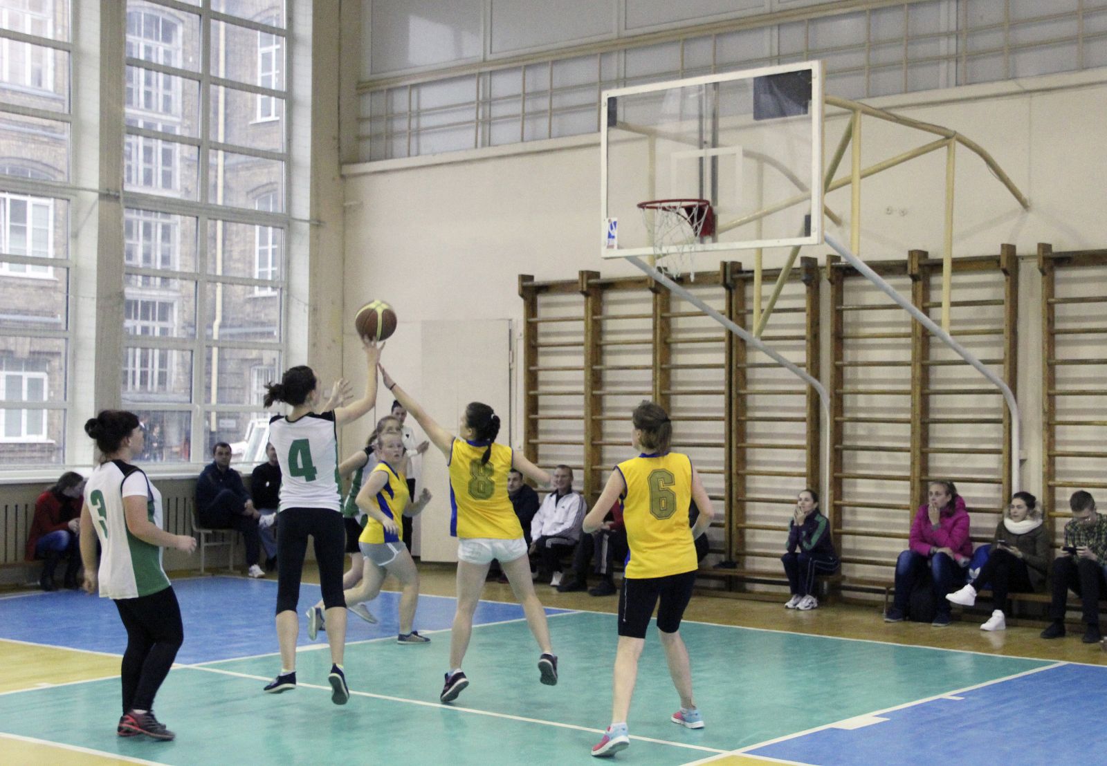 ГрГУ, университет, баскетбол
