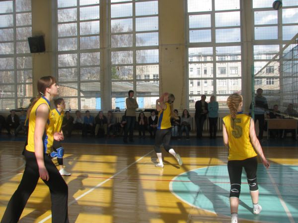 ГрГУ, университет. образование, спорт, волейбол