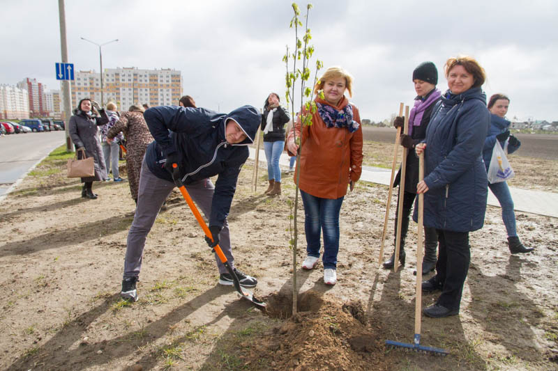Участники первичных организаций ГрГУ имени Янки Купалы высадили деревья на Аллее семьи университета в Гродно