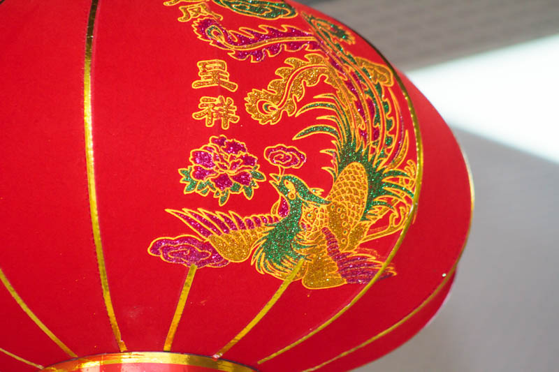 В ГрГУ имени Янки Купалы отпразднуют Китайский Новый год