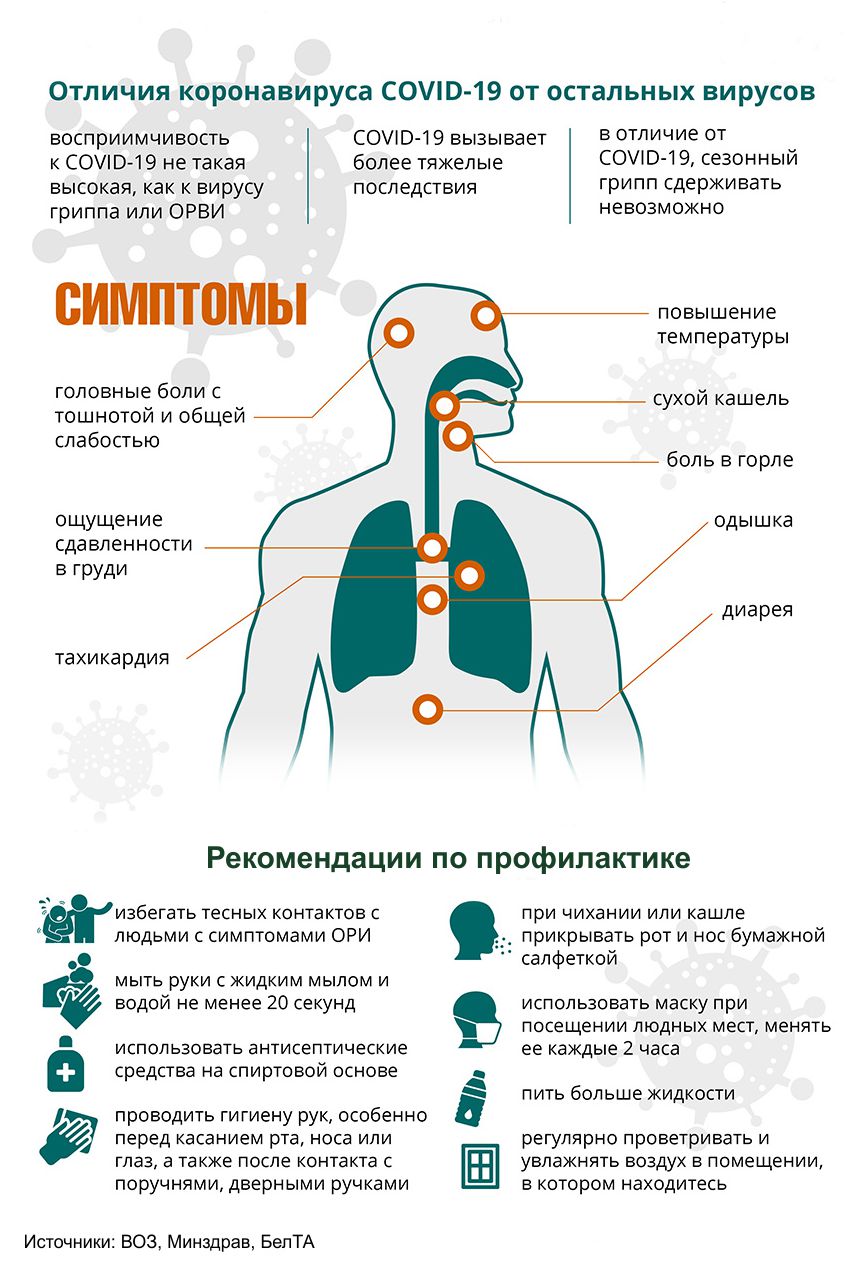 infografika