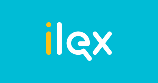 Погружение в мир информационных технологий: семинар-практикум по работе с ilex.by