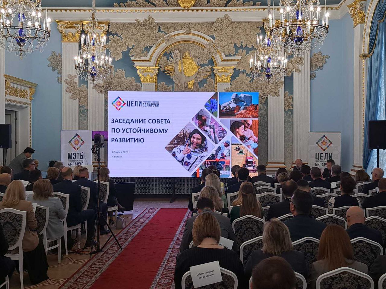 Купаловец приняла участие в Совете по устойчивому развитию Республики Беларусь